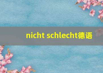 nicht schlecht德语